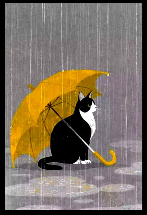 43 Top Images Cat In The Rain Theme Cat Rain S Tenor Ozzy