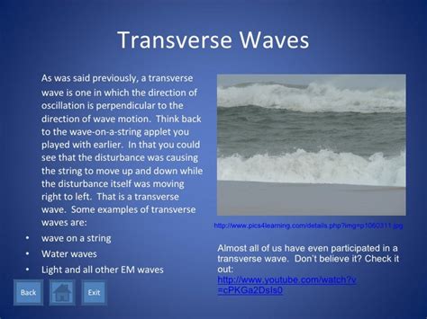 Introduction To Waves And Waveforms