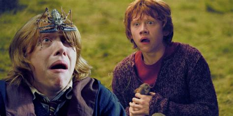 Ron Weasleys Best Quotes In Harry Potter Ranked