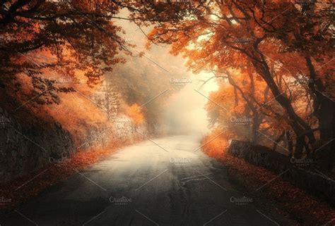 Mystical Autumn Red Forest With Road Foggy Forest Autumn Forest