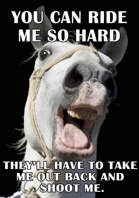 Our ultimate collection of pick up lines or chat up lines are perfect for any situation that requires fun. 10 Pick-Up Lines Only A Horse Can Use | Horses, Horse puns ...