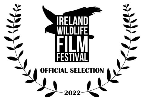 Aussie icon flocks into top 10 features at Ireland Wildlife Film