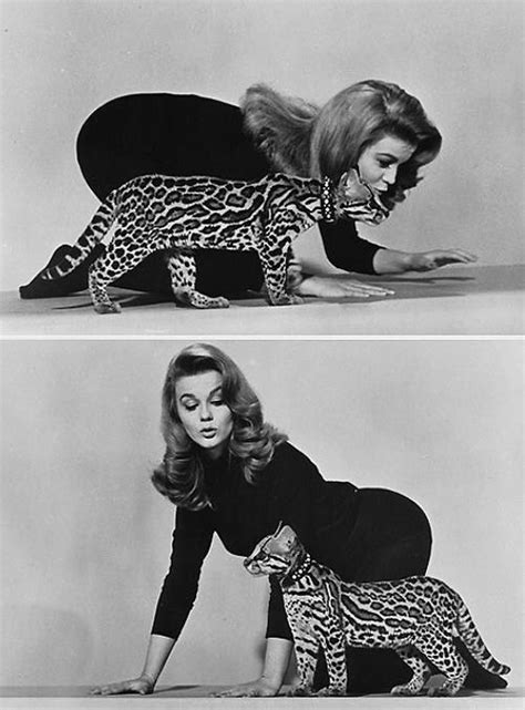 (remastered) (2020) or any other file from music category. Ann-Margret in 2020 | Celebrities with cats, Ann margret ...