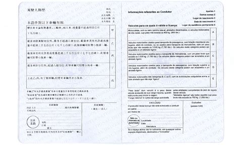 Sample Of International Drivers Permit