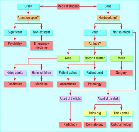 How To Choose Your Medical Specialty