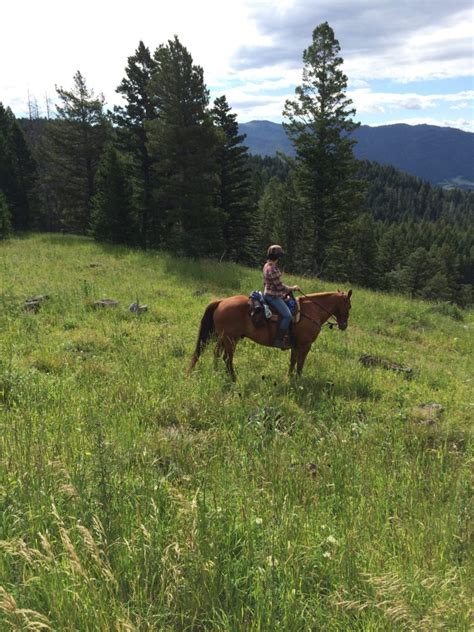 Happy Trails Gear Guide What To Wear Horseback Trail Riding Kembeo
