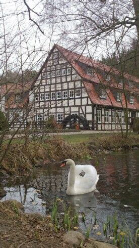 Springbachmühle, Bad Belzig, Germany | Pictures of germany, Germany, Luxembourg germany