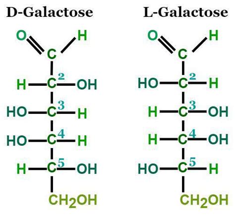 Galactose Formula Structure Properties Uses And Faqs