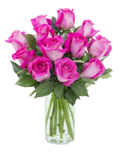 Arabella Farm Direct Bouquet Of 12 Fresh Cut Hot Pink Roses With Free