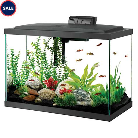Aqueon Standard Glass Aquarium Tank 20 Gallon High Petco
