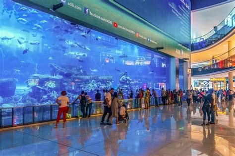 المطار الرئيسي للبلاد هو مطار مطار بودابست فرانز ليست الدولي (budapest ferenc liszt international airport) الذي يقع جنوب بودابست، تتخذ منه ويز للطيران (wizz air) مقرا لها ويوجد ايضاً مطار دبرتسن وهو ثاني أكبر مطار. مطار جدة الجديد حوض سمك