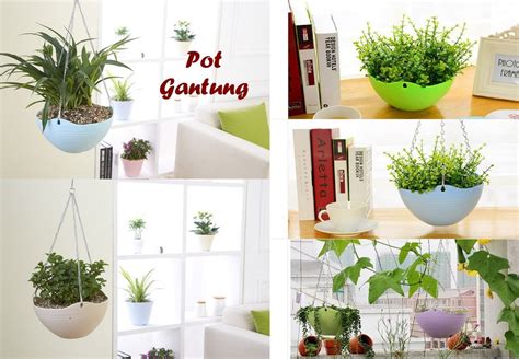 Jual Pot Gantung, Pot Tanaman, Berkebun, Pot Bunga di ...