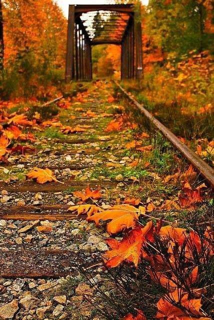 Pin By Julie Fenn On Autumn Splendor Autumn Scenery Fall Pictures