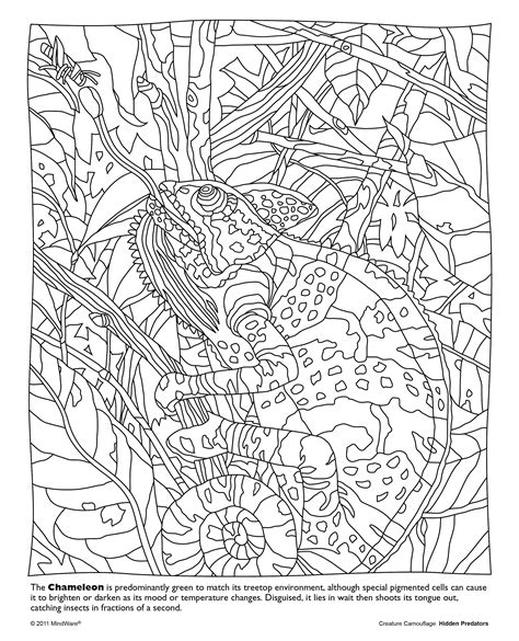 Free Print Hidden Animals Coloring Pages Pengeogpassioner