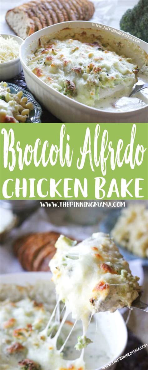 Broccoli Alfredo Chicken Bake Recipe The Pinning Mama