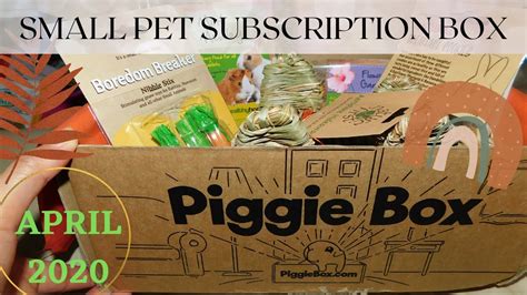Piggieboxguinea Pig Subscription Box April 2020 Youtube