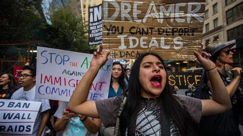 trump seriously considering ending daca with 6 month delay the new york times