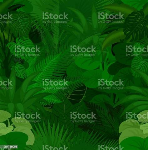 Seamless Vector Tropical Rainforest Jungle Background Stock