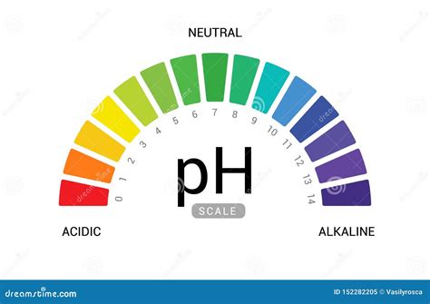 Ph Scale Indicator Chart Diagram Acidic Alkaline Measure Ph Analysis Vector Chemical Scale