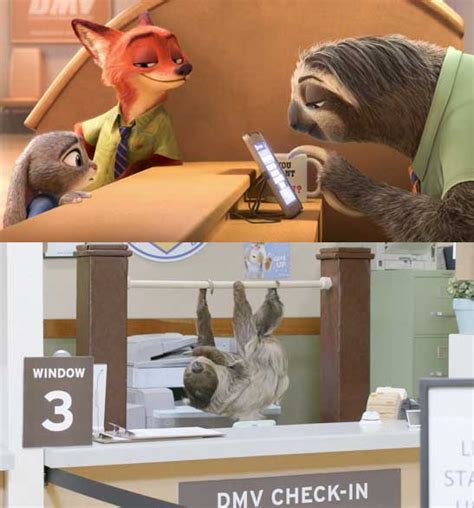 Disney Brings ‘zootopia To Life With Real Sloths At Dmv For Natl