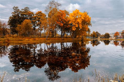 Фото осень золотая - Ёжин.ру