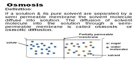 Diffusion & Osmosis ~ Dhiraj's Blog