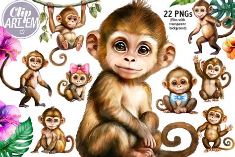 Monkey Clip Art Bundle Watercolor Baby Young Monkey Boy And Etsy