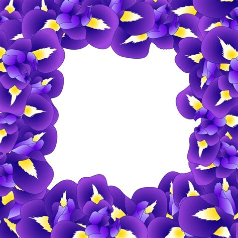 Premium Vector Purple Iris Flower Border