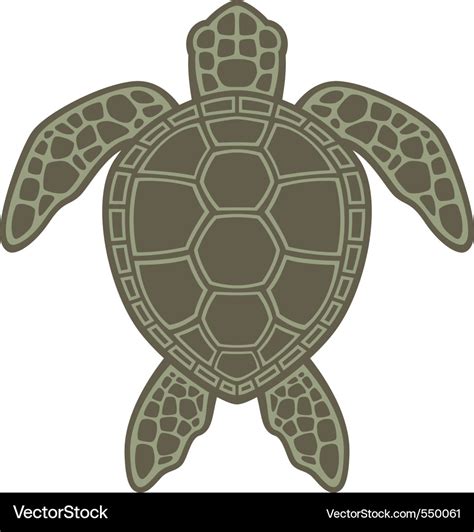 Cute Sea Turtle Vector Illustration Isolated On White Background My