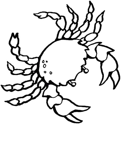 Free Realistic Sea Crab Sea Animals Coloring Page Download And Print