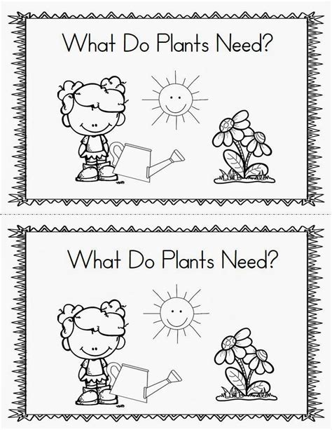 Plants Plant Lessons Plants Kindergarten Plant Activities