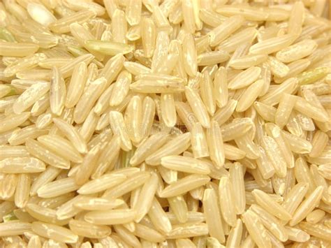 Whole Grain Brown Rice Stock Photo Image Of Glass Whole 7839434