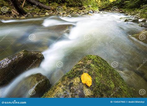 Fast Flowing Through Wild Green Mountain Forest River Stream With