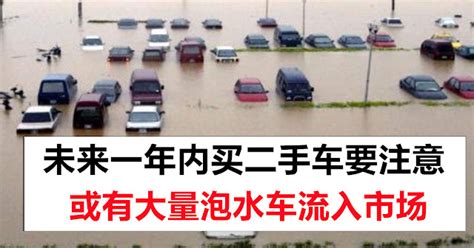 未来一年买二手车要注意！避免买到泡水车