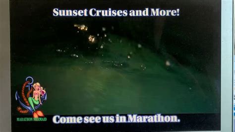 Sunset Cruise Marathon Florida Youtube
