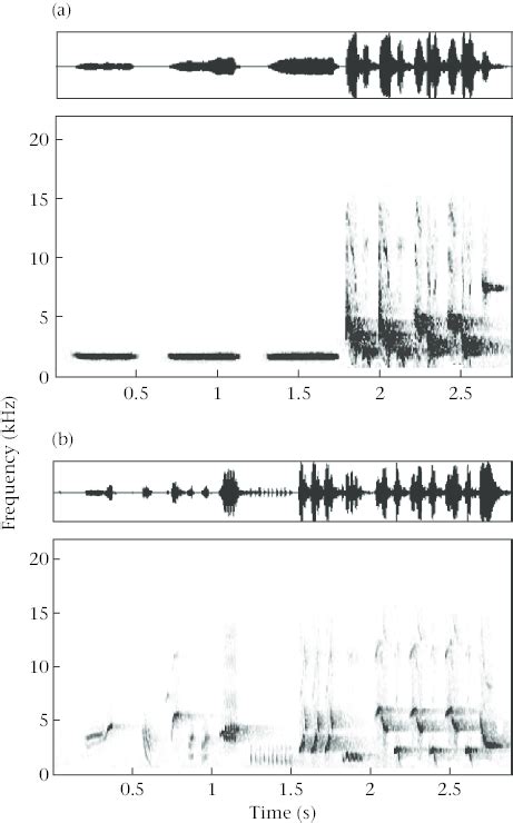 Oscillograms Above And Spectrograms Below Of Songs Of The Two