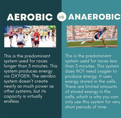 The Difference Between Aerobic And Anaerobic Exercise