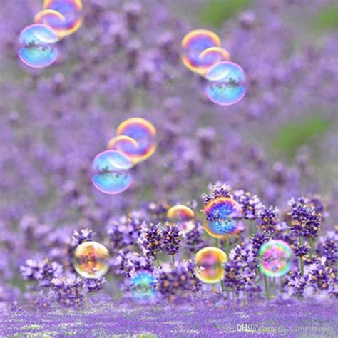2020 Lavender Flowers Backdrop Photo Colorful Bubbles