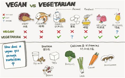 Vegans are vegetarians, but vegetarians are not necessarily vegans. July | 2015 | ~Plushie Baker~