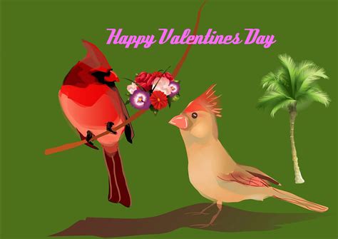 Cute Love Birds Images For Valentines Day