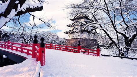 Japan Ice Landscapes Nature Winter Snow Trees Bridges Wallpapers