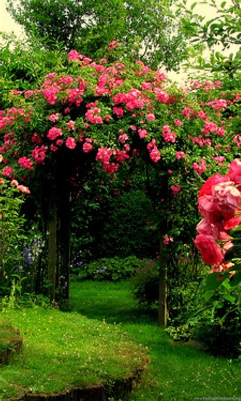Rose Garden Wallpapers Hd Wallpaper Backgrounds Of Your