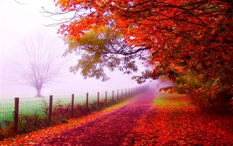 1920x1080px 1080p Free Download Autumn Walkway Fence Autumn Path