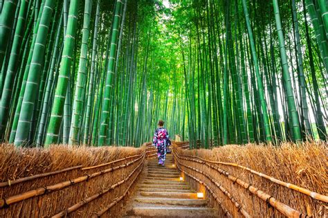 Arashiyama Tour From Kyoto Tourist Journey