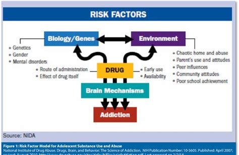 Figure 1 From Substance Abuse Risk Factors For Turkish