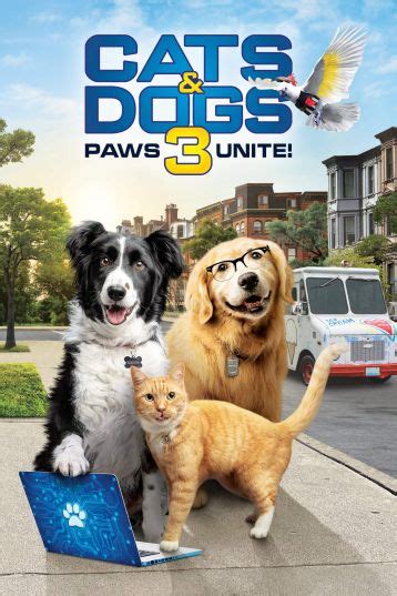 How a good team can positively influence your business. Index of /Movie/Cats & Dogs 3: Paws Unite (2020)/