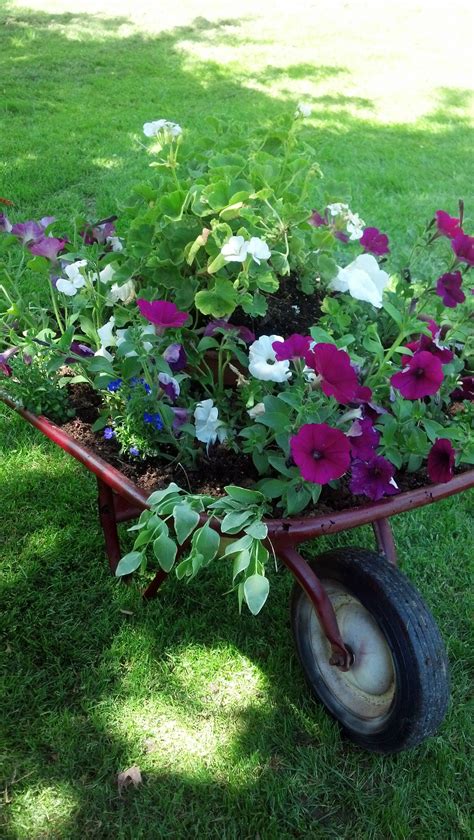 Made My Own Wheelbarrow Flower Placed A Potted Geranium In The Center