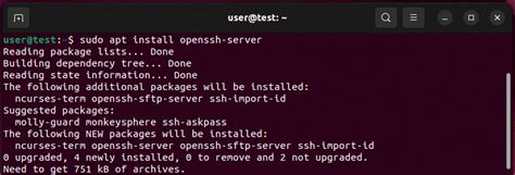 How To Install And Enable Ubuntu SSH IONOS CA