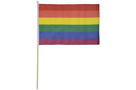Rainbow Flag Handheld 45 X 30 Cm Copenhagen Pride