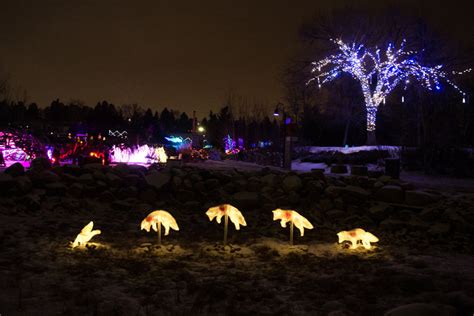 2023 Places To See The Best Christmas Light Displays Around Edmonton